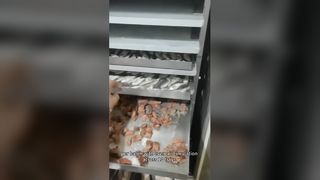 Aliments commerciaux de lyophilisateur industriel de 100 kg