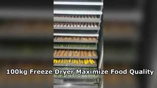 Machine industrielle de lyophilisation de grande capacité 100kg pour la nourriture