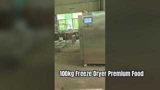 Production alimentaire industrielle de lyophilisateur de 100 kg