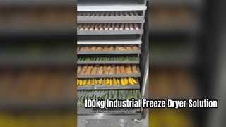Lyophilisateur industriel 100 kg pour la production alimentaire commerciale
