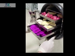 La machine à vide pour le séchoir de congélation