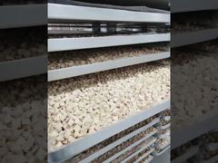 Regarder : Conçu pour l'endurance : vitrine du traitement des lyophilisateurs industriels à faible entretien