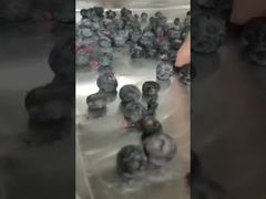 À surveiller : Séchage de précision par lyophilisateur industriel pour ingrédients de grande valeur en vrac Sous contrat