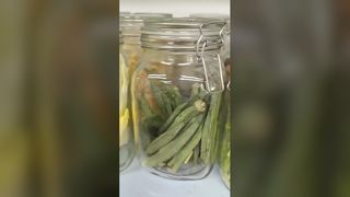 Lyophilisateur domestique 25 ans de fraîcheur