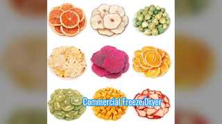 Lyophilisateur industriel 100KG, balance commerciale