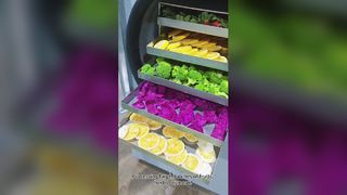 Lyophilisateur domestique Conserver les aliments be Good