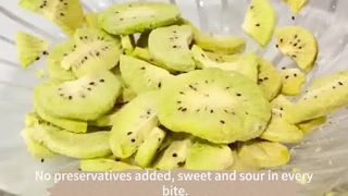 Centrale industrielle de transformation des aliments de lyophilisateur