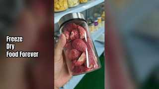 Lyophilisateur domestique pour conserver les aliments frais