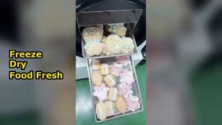 Lyophilisateur domestique Preserve Foo