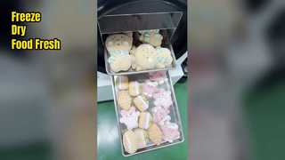 Le lyophilisateur domestique préserve la fraîcheur des aliments