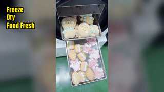 Lyophilisateur domestique pour la conservation des aliments