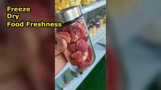 Lyophilisateur domestique Préserver les aliments Maximiser la nutrition