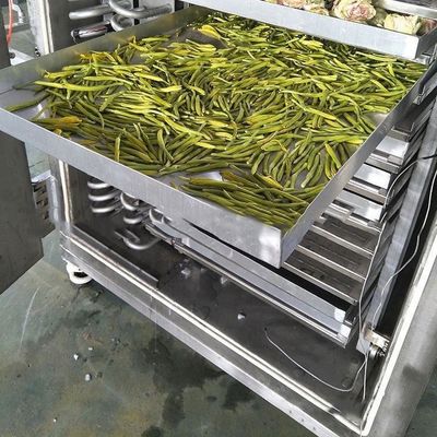 Séchoir industriel à congélation alimentaire 200 kg/ lot