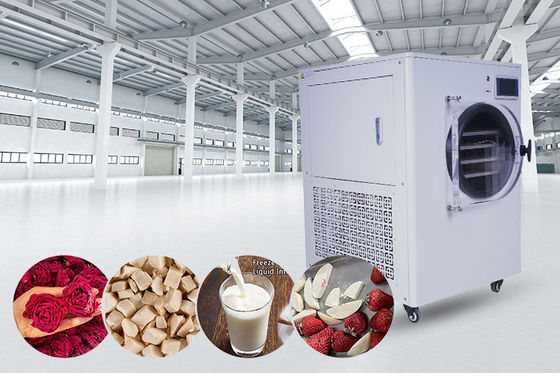 Écran LCD Système de réfrigération  Lyophilisateur domestique pour la maison et la conservation des aliments