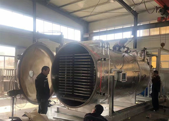 Équipement industriel automatique de séchage par congélation 300 kg/ lot