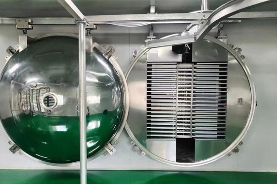 Machine de déshydratation par congélation commerciale 100 kg/ lot