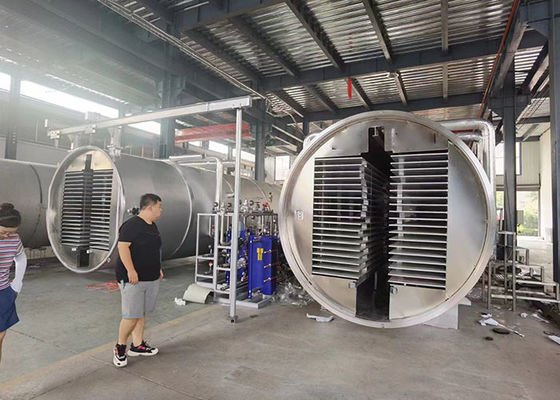 Machines de séchage par congélation à vide industriel moyen