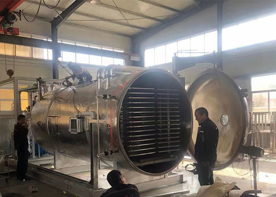 Refroidissement à l'air 50 kg 100 kg Produits végétaux industriels Séchoir à vide