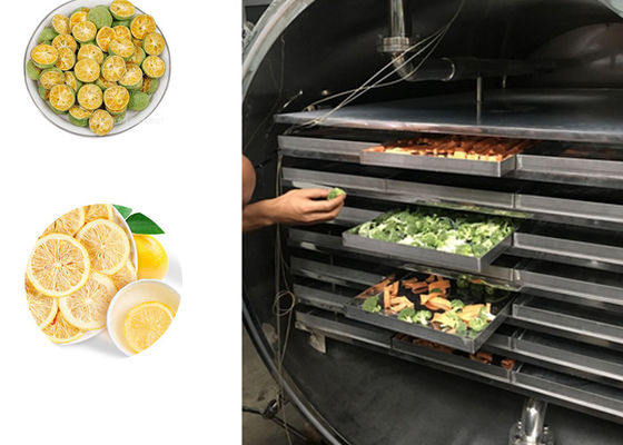 Fruits et légumes Machine de déshydratation par congélation industrielle 100 kg/ lot