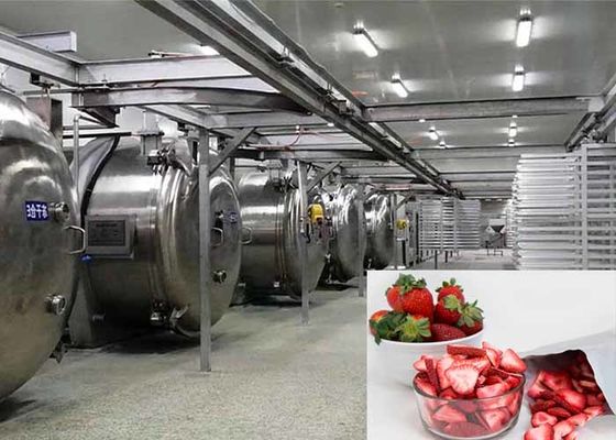 Appareil de séchage par congélation industriel à vide pour aliments de 100 kg