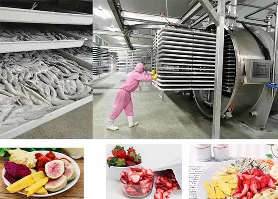 Séchoir à vide pour aliments sous contrôle PLC 200 kg/ lot