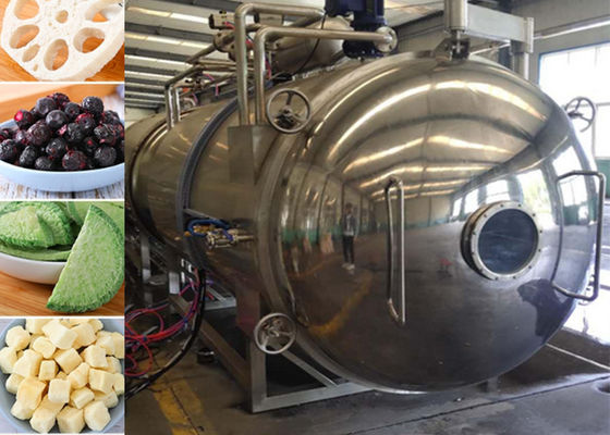 100 kg aspirateur végétal industriel de congélation des aliments séchoir