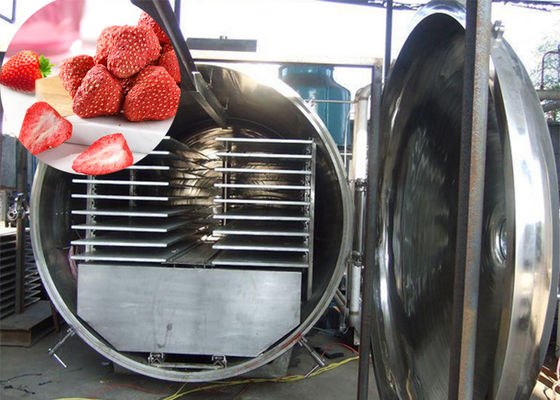 300 kg machine de congélation à vide Atla Produits alimentaires végétaux industriels