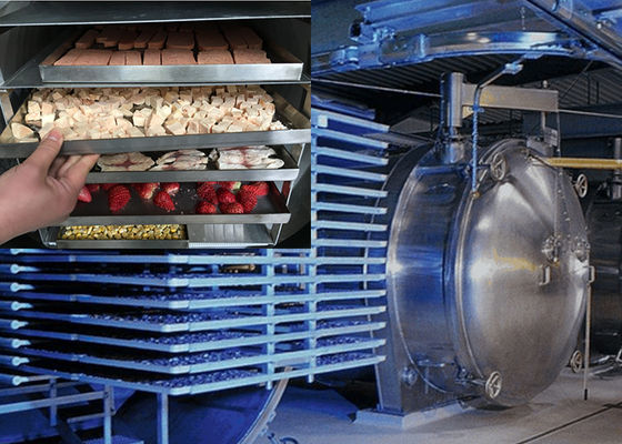 Séchoir à vide à congélation pour aliments de qualité industrielle