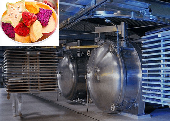 Séchoir à vide professionnel pour les aliments à haute efficacité de séchage