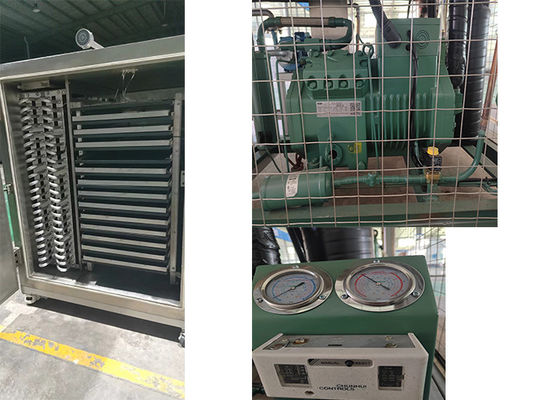 Lyophilisateur pharmaceutique sèche-glace électrique