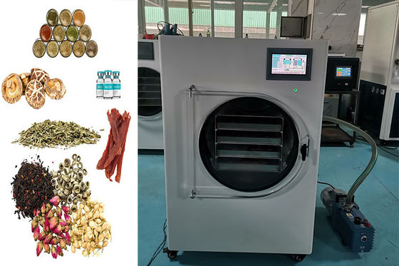 Mini séchoir à glaçons compact avec contrôle PLC et capacité polyvalente