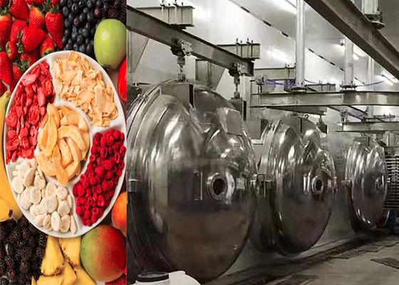 Machine de séchage sous vide à froid des aliments industriels 304 en acier inoxydable