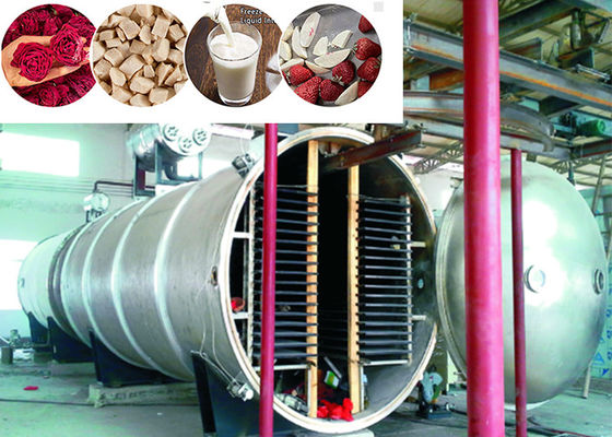 400 kg/ lot Séchoir à vide industriel pour la congélation des aliments