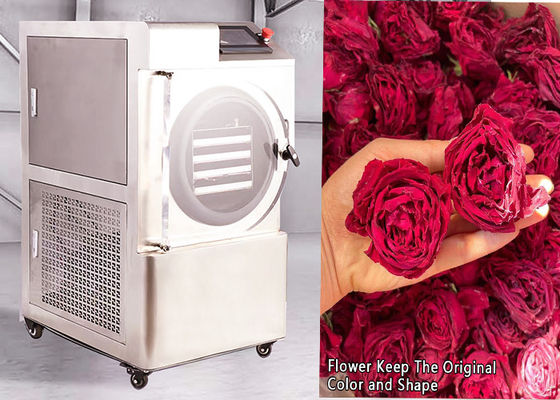 6 à 8 kg de séchoir de congélation domestique à commande PLC Température de -50 °C à 50 °C