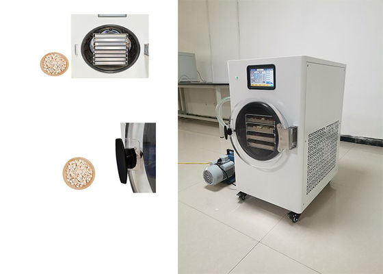 Séchoir-congélateur à domicile en acier inoxydable pour la conservation des aliments