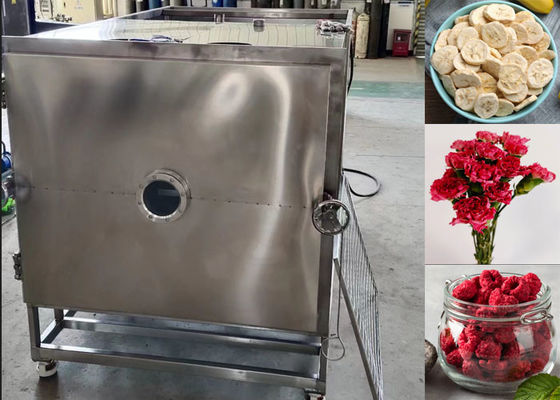 Grand appareil de séchage sous vide et congélateur de nourriture