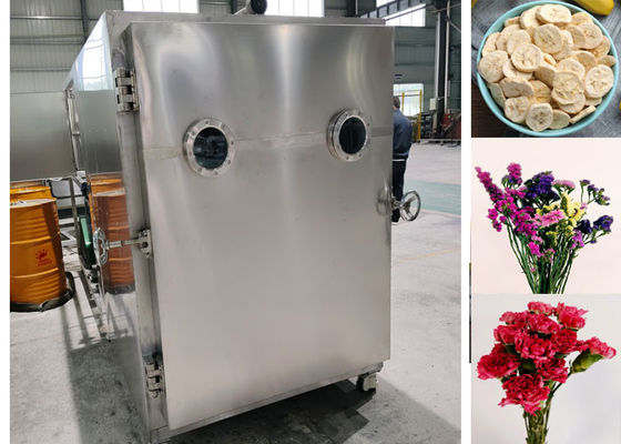 Séchoir à vapeur à froid pour aliments efficace avec système Leybold