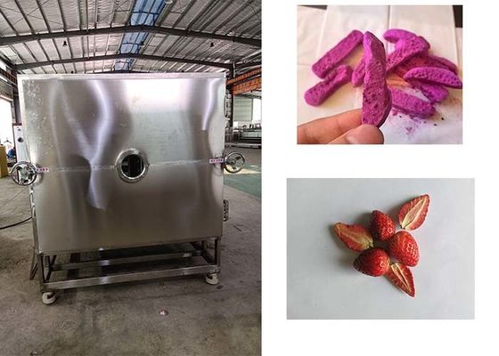 Séche-glace automatique à haute performance pour les légumes pour des résultats de séchage supérieurs