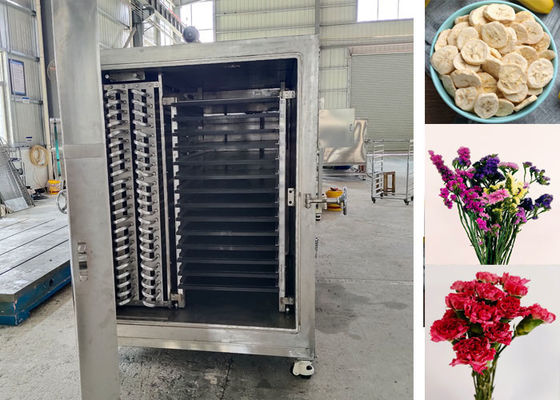 100 kg 200 kg Produits alimentaires industriels légumes congélateur séchoir machine équipement polyvalent