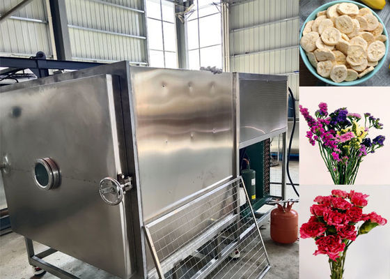 Séche-glace pour légumes personnalisé avec mode de fonctionnement automatique