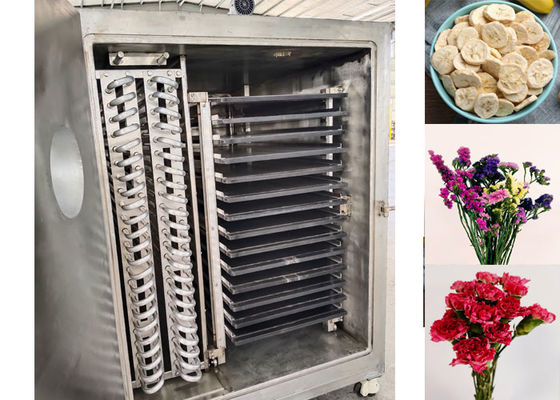 Machine de séchage sous vide industriel pour la rétention de maxi nutriments