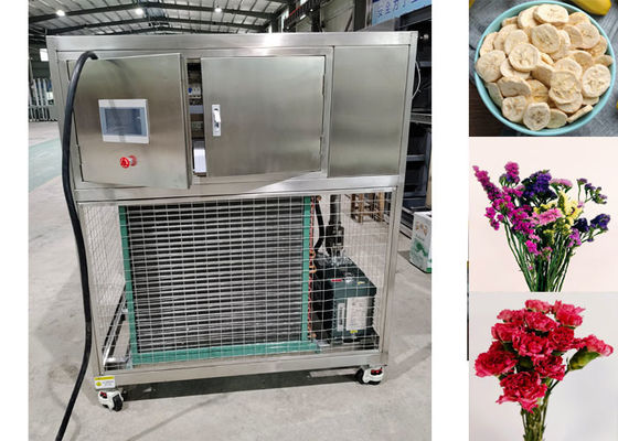 Séchoir à gel pour légumes industriels sur mesure Compact avec limite de vide ≤ 13 Pa