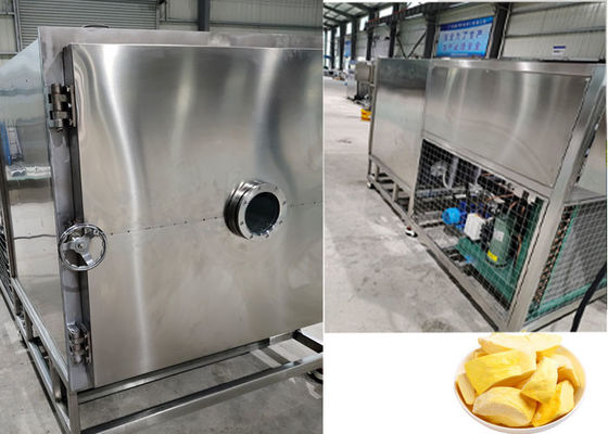 PLC contrôle congélation des fruits secs équipement de la machine 100Kg 200Kg