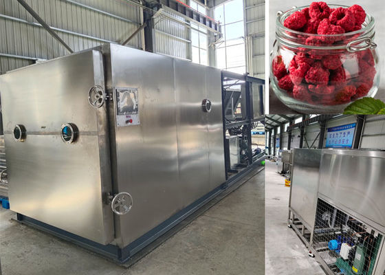 Capacité de 30 à 35 kg machine de séchage par congélation avec contrôle PLC