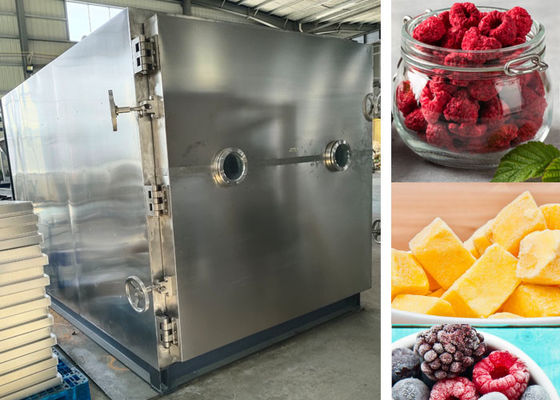 Machine de séchage par congélation sous vide contrôlée par PLC Lyophilizer Dryer 200Kg
