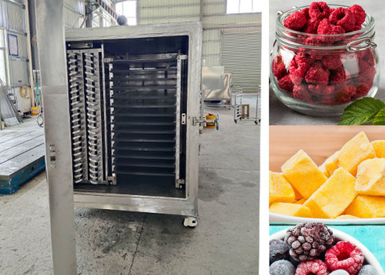 Machine de séchage par congélation sous vide industrielle compacte