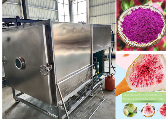 100 kg / lot Séchoir congélateur Stayfresh avec système de refroidissement à air