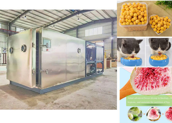 Machine de séchage par congélation sous vide compactement conçue