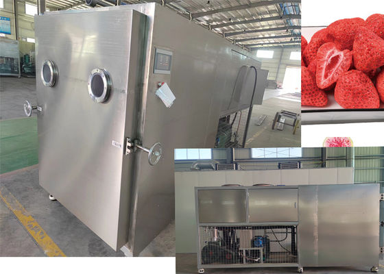 Machine de lyophilisateur à vide avec pompe industrielle