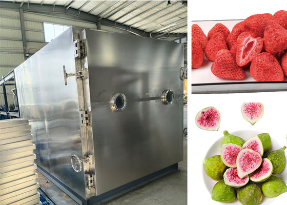 Grand séchoir sous vide pour aliments 300 kg par lot Séchage lyophilisateur